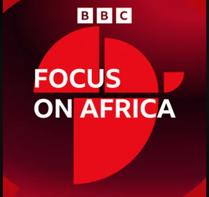 PODCAST: Migration, politics and the S.A. elections